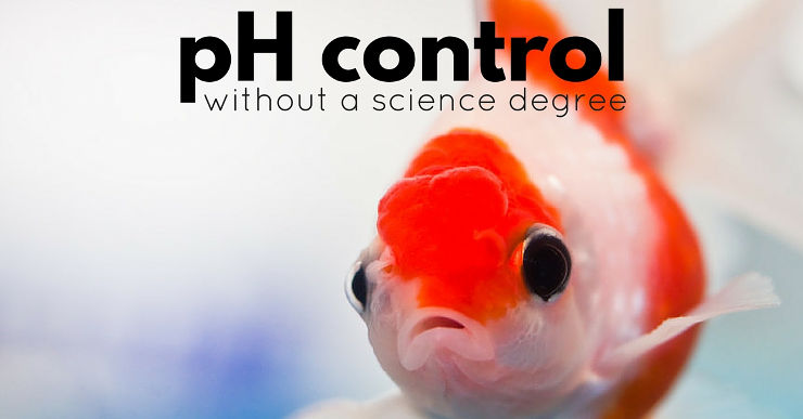 Natural pH control in a freshwater aquarium