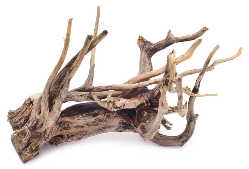 Aquarium Driftwood • Best & Safest Types for your Tank