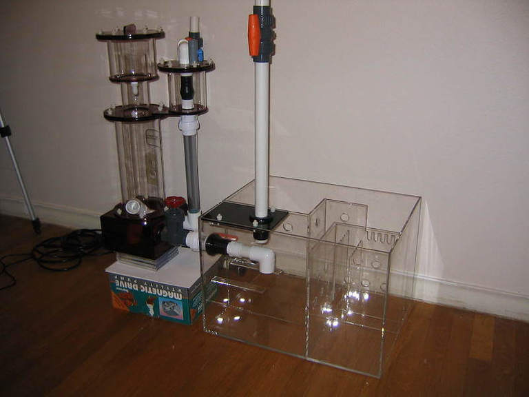 Picture of Protein Skimmers Guide: Choosing & Using for Reef Tanks