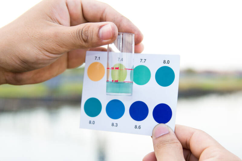 Worker use hands holding test tube with pH indicator comparing color to scale from water in pond