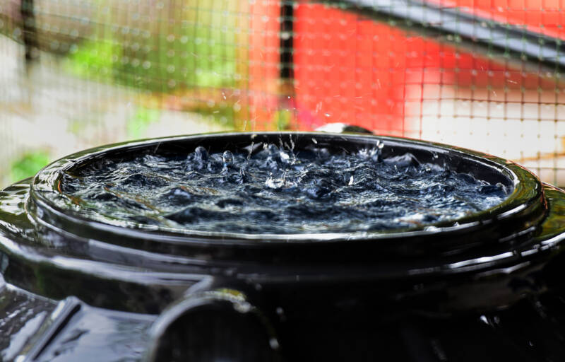 Rainwater harvesting in a barrel