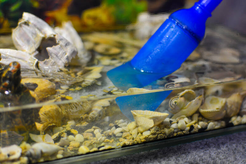 Cleaning the aquarium. Pumping water out of the aquarium close-up