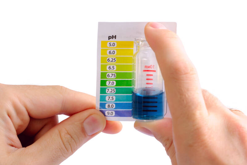 Testing ph of aquarium water with a liquid test