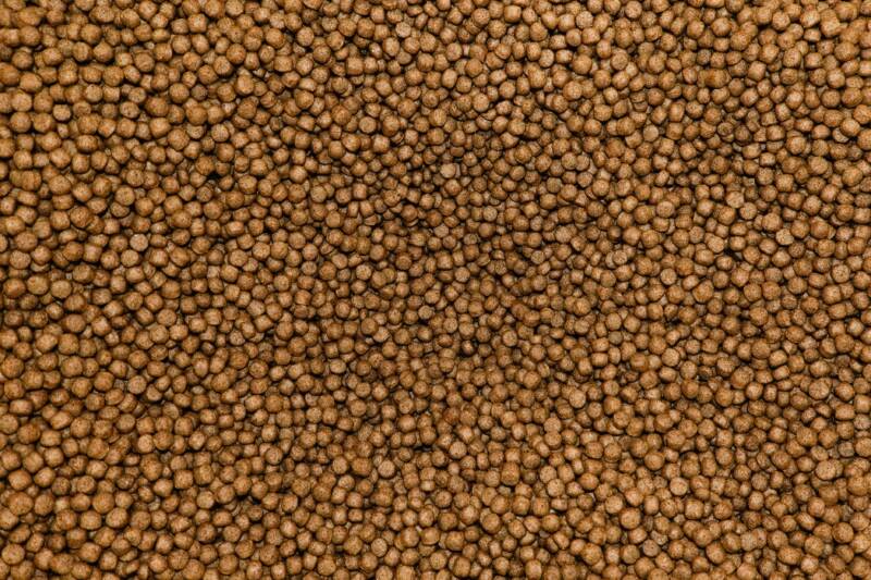 Close up of medium-sized pellets