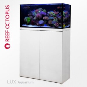 Reef octopus t90 48 gal