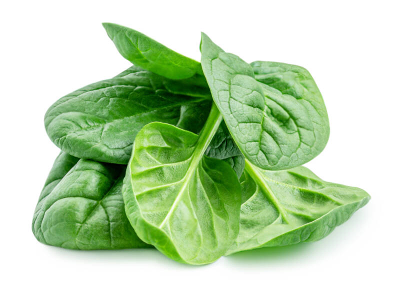 Pile of fresh green baby spinach leaves isolated on white background