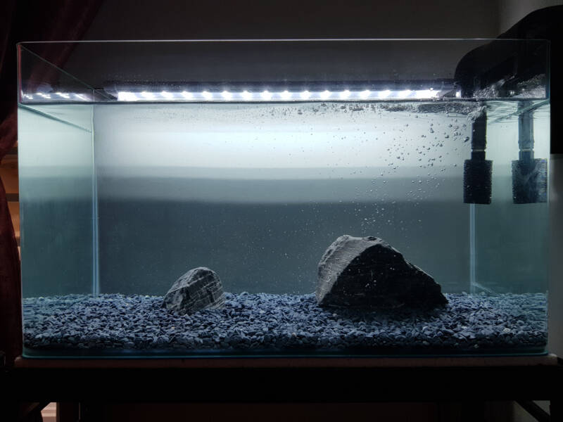 Fish tank setup